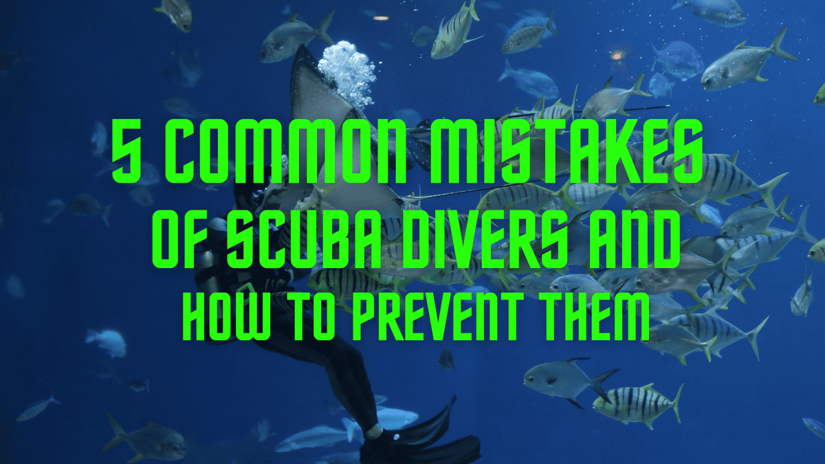 5 Common Mistakes and How to Prevent them of Certified Scuba Divers ...