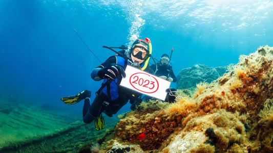 What brings the new year to scuba divers??