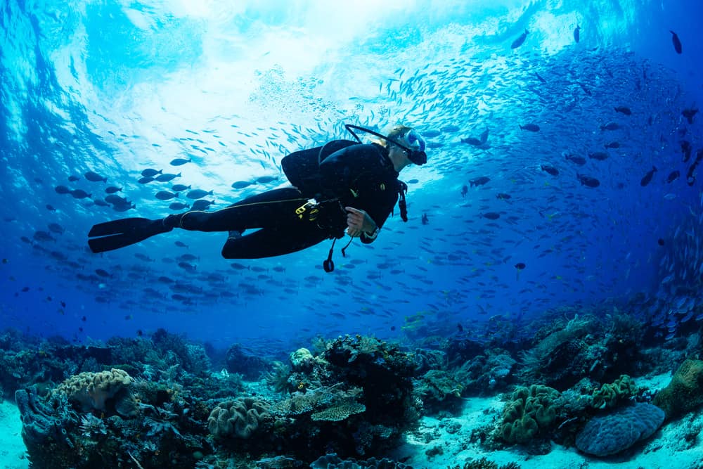 Exploring the World Underwater: A Guide to Scuba Diving and Apparel